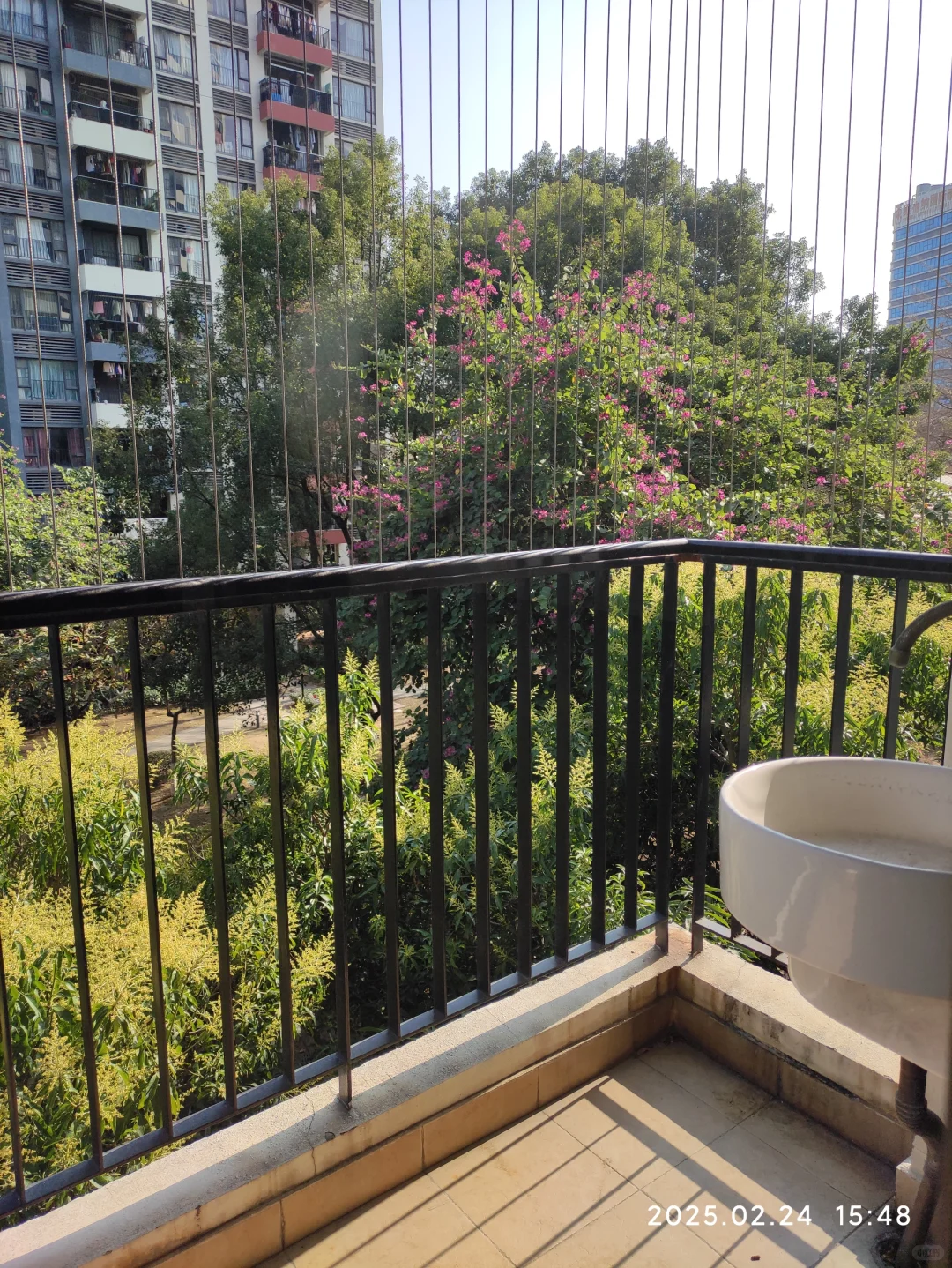 广州第一批限价房小区已经绿树成荫