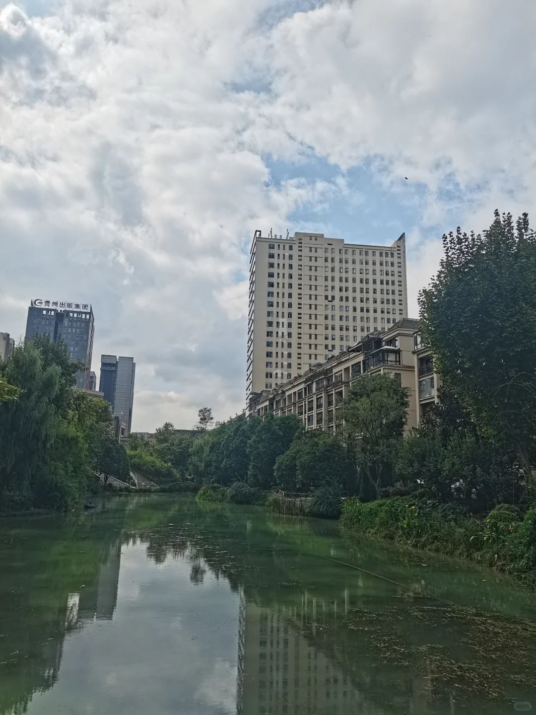 别人家小区系列：住这个小区也太幸福了吧！