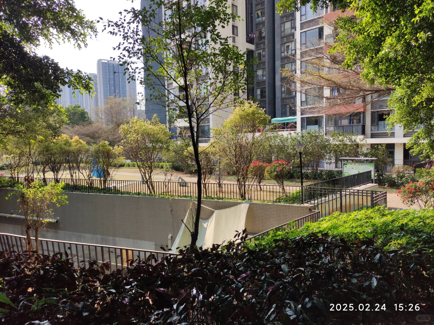 广州第一批限价房小区已经绿树成荫