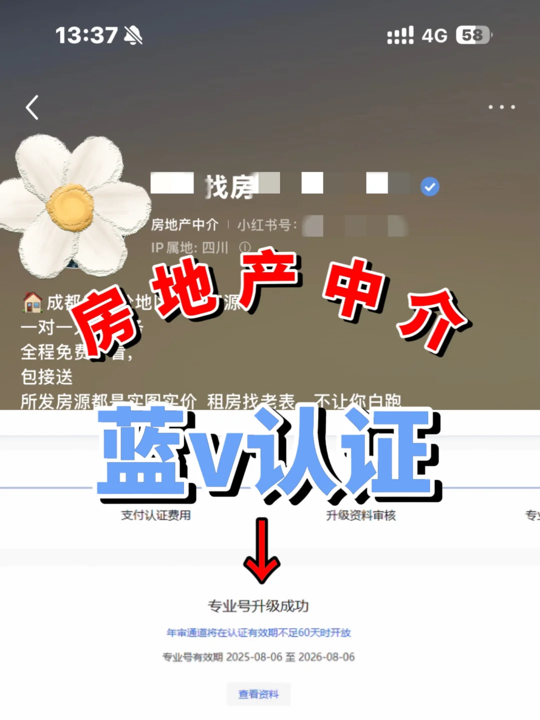 认证房产蓝v需要什么条件？一篇说清楚