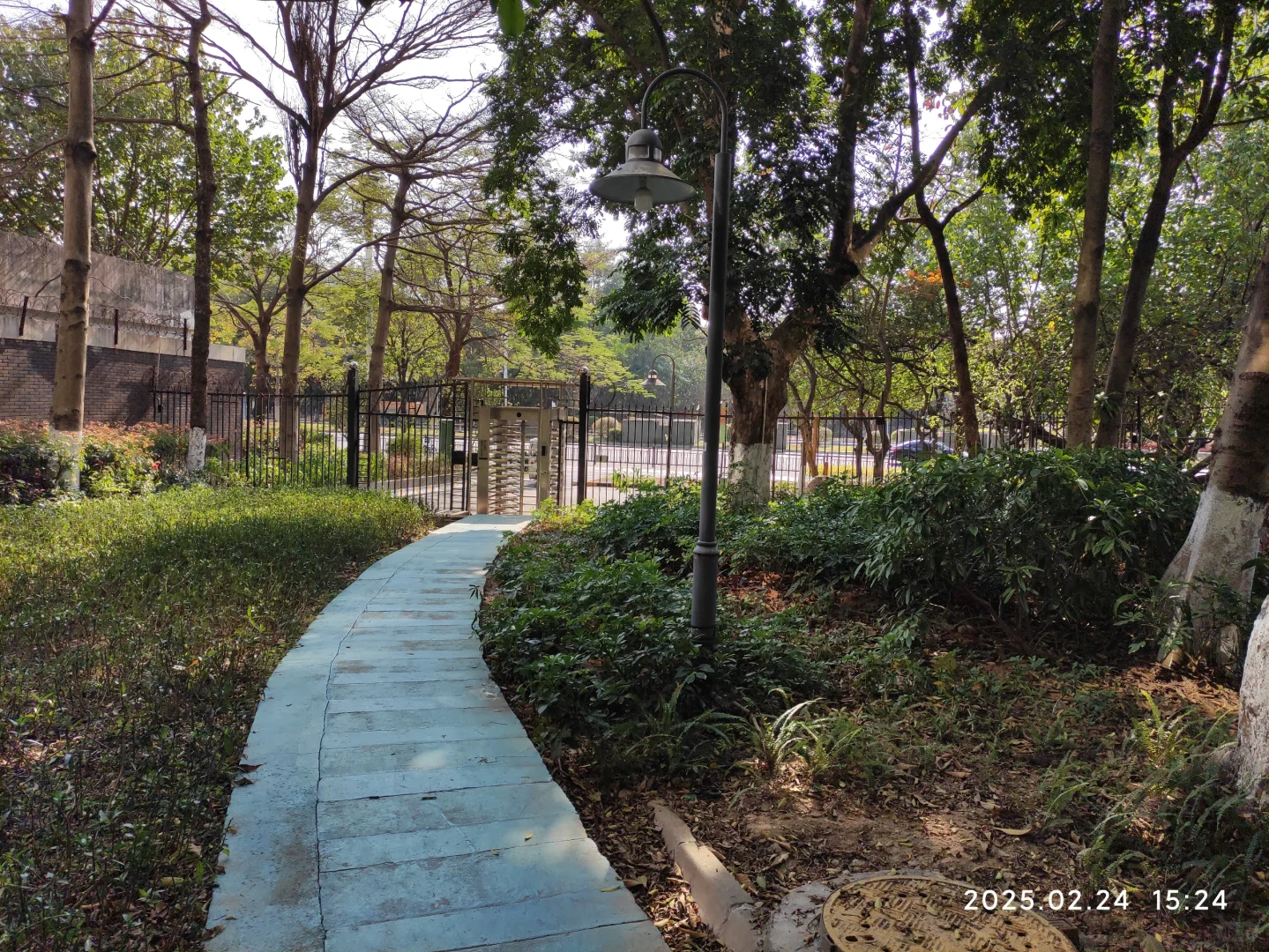 广州第一批限价房小区已经绿树成荫