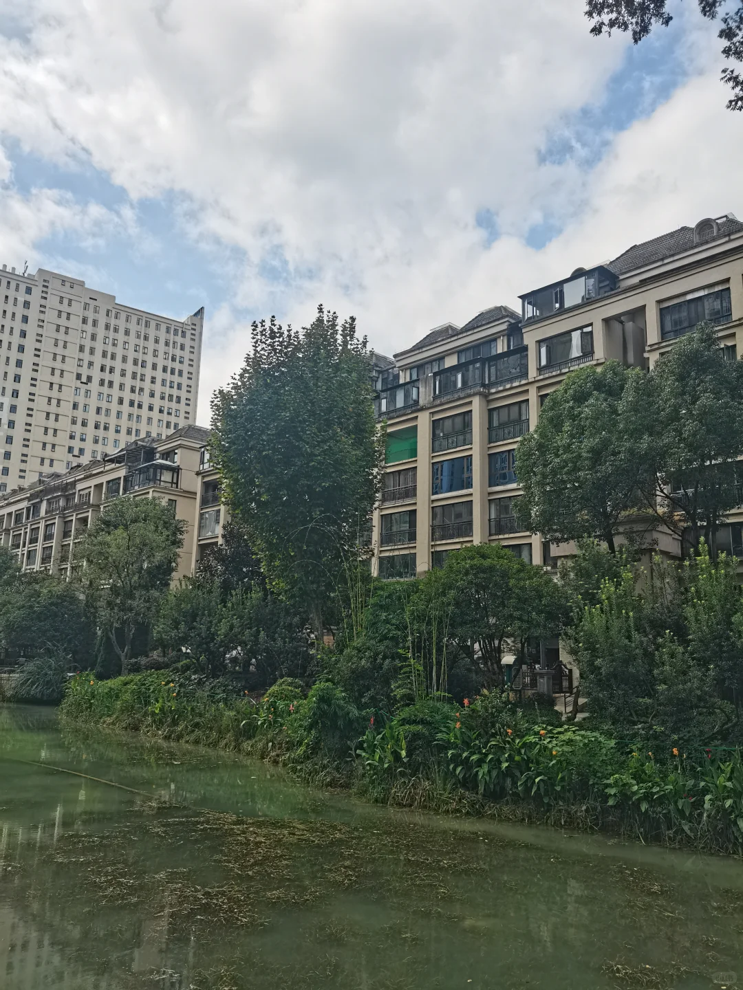 别人家小区系列：住这个小区也太幸福了吧！