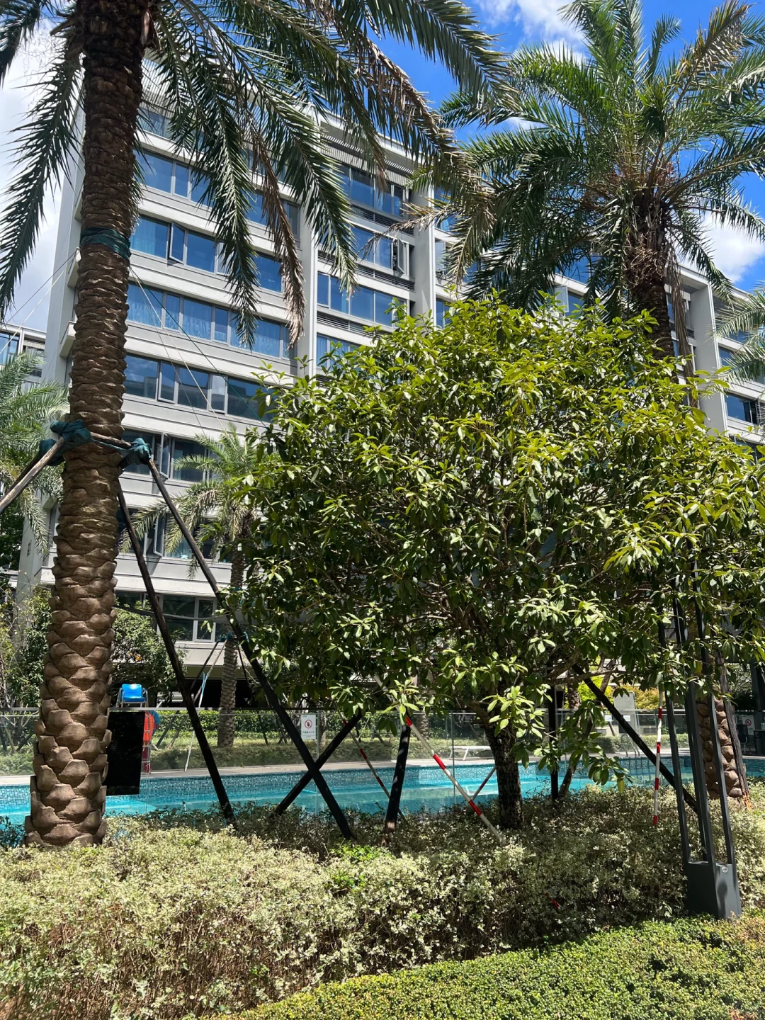 宁波次新房春来晓园降价32W房东含泪🥹急售