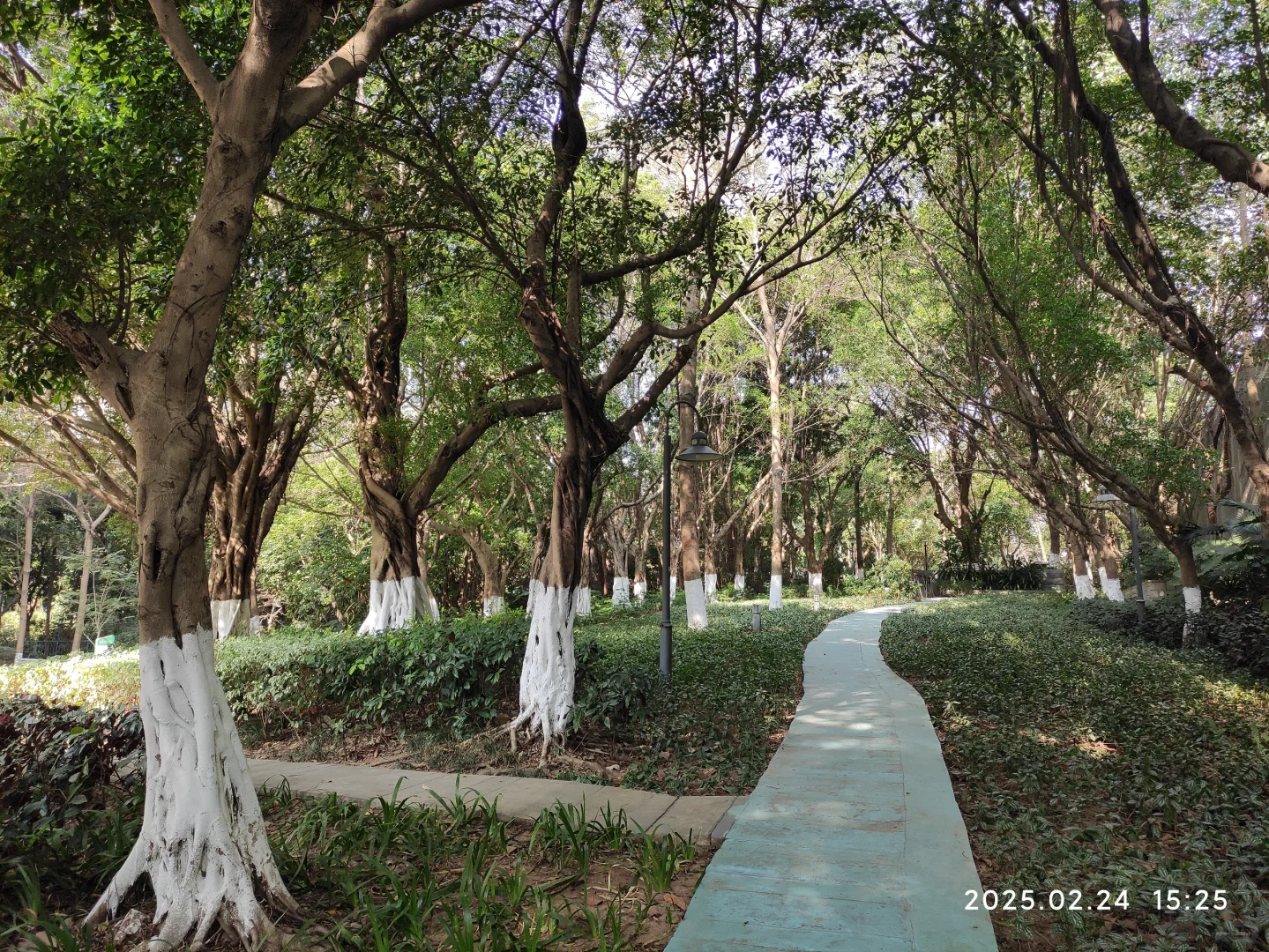 广州第一批限价房小区已经绿树成荫