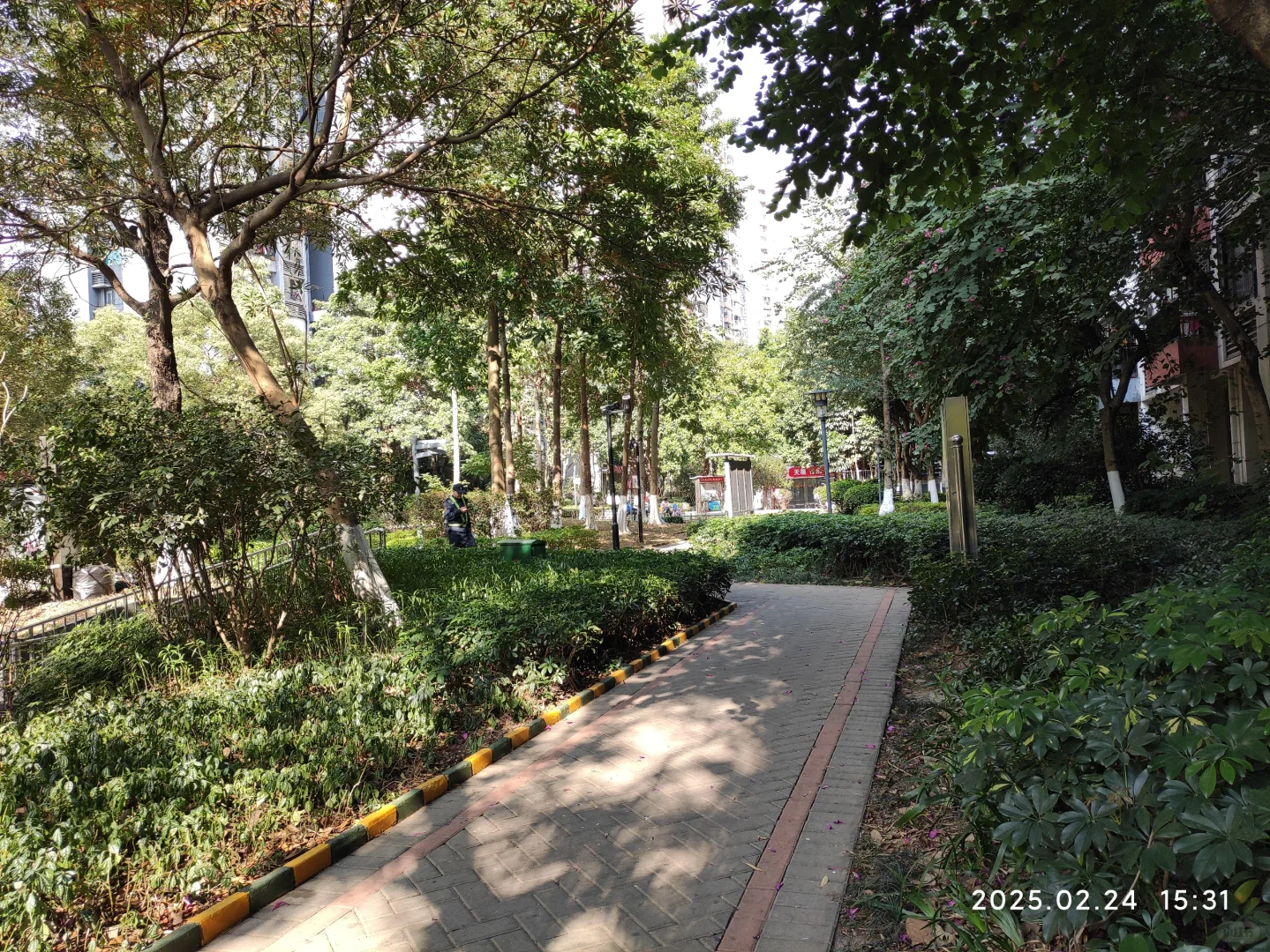 广州第一批限价房小区已经绿树成荫