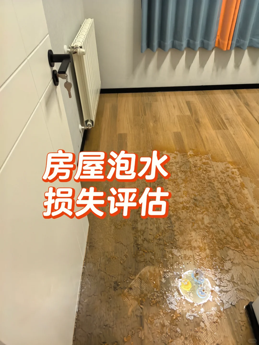 房屋装修！各种损失类评估！