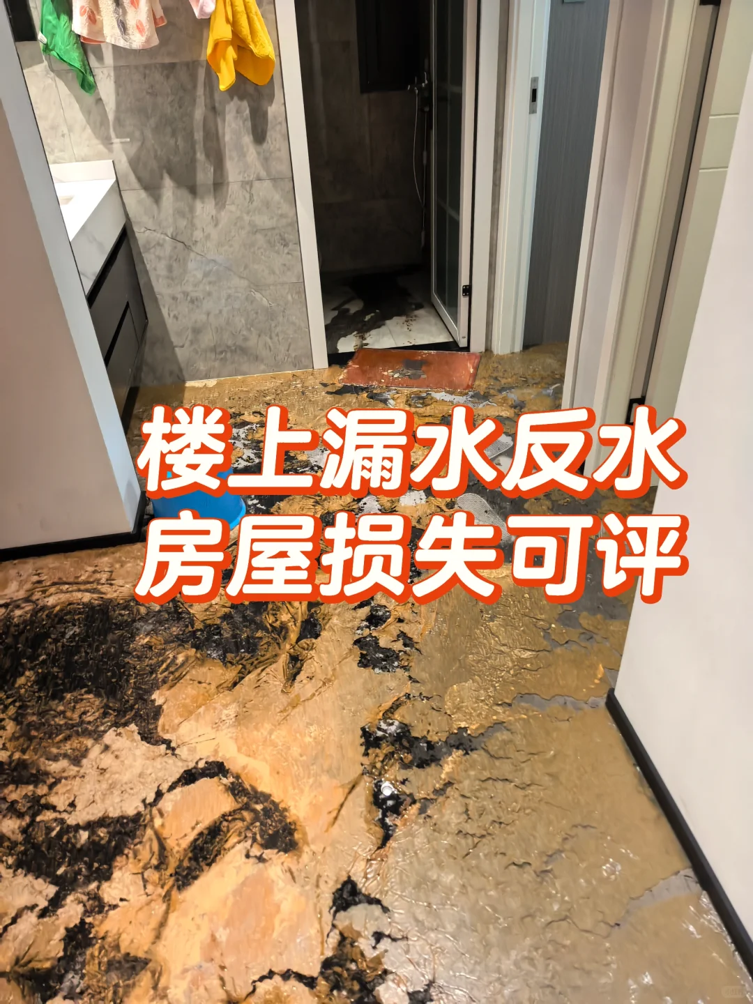 房屋装修！各种损失类评估！