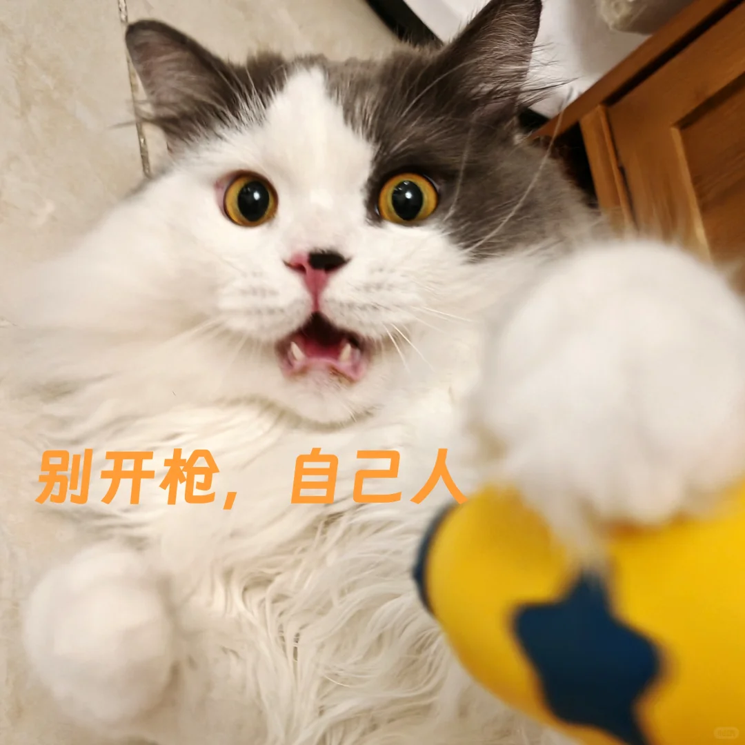 重庆无中介买房经验贴之二