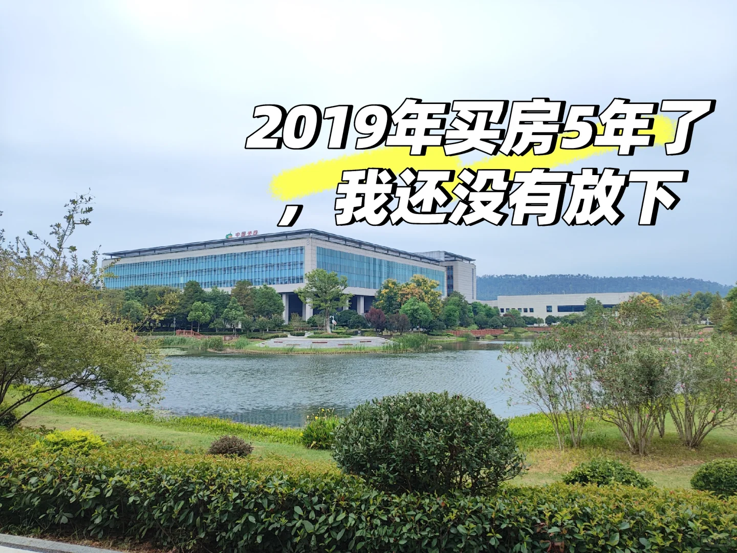 都5年了，我竟然对高位买房还没释怀