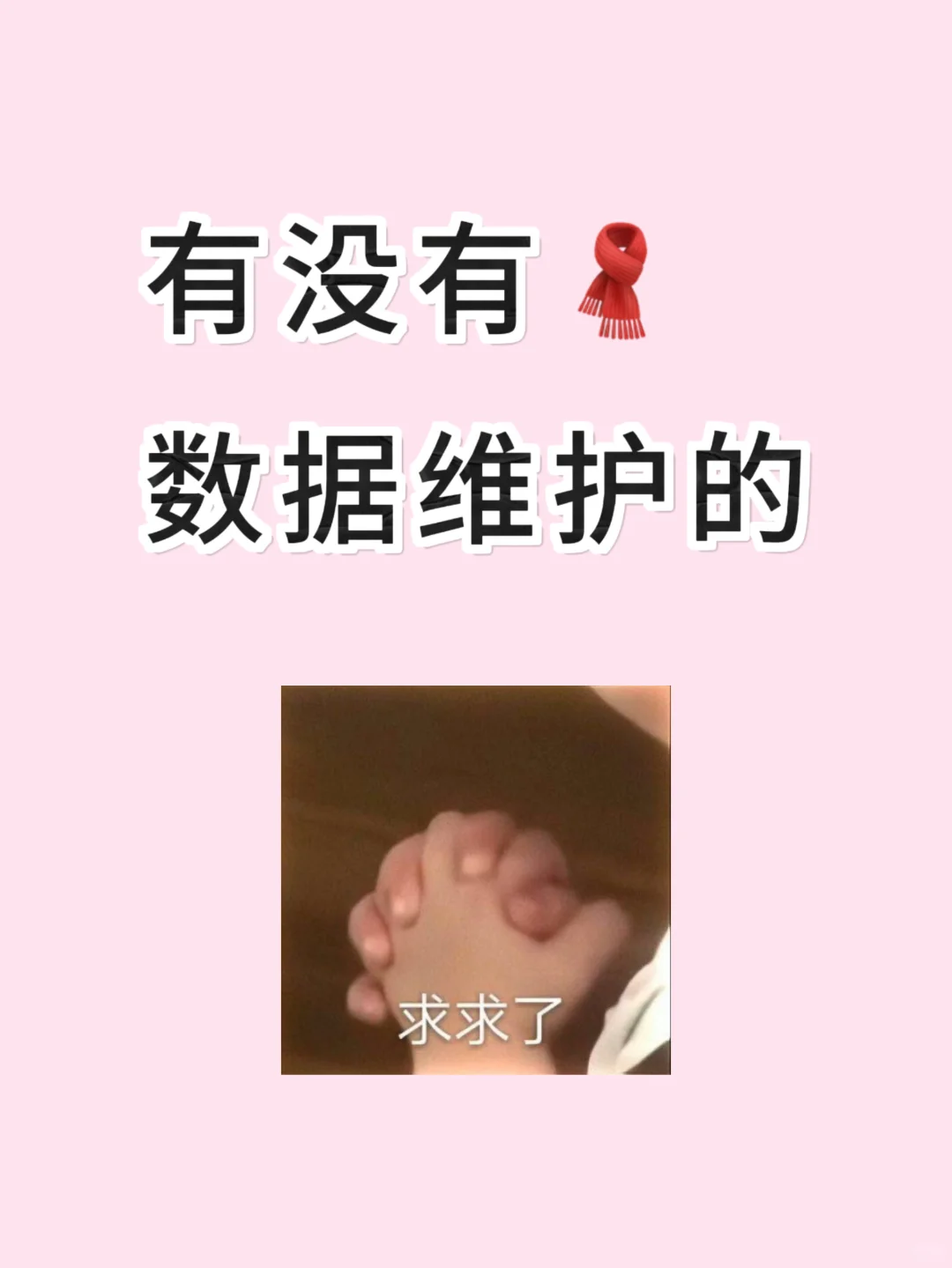 若有数据维护的求求了