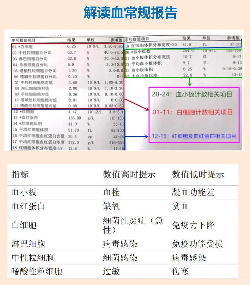 血常规怎么看，一分钟教会你看重点
