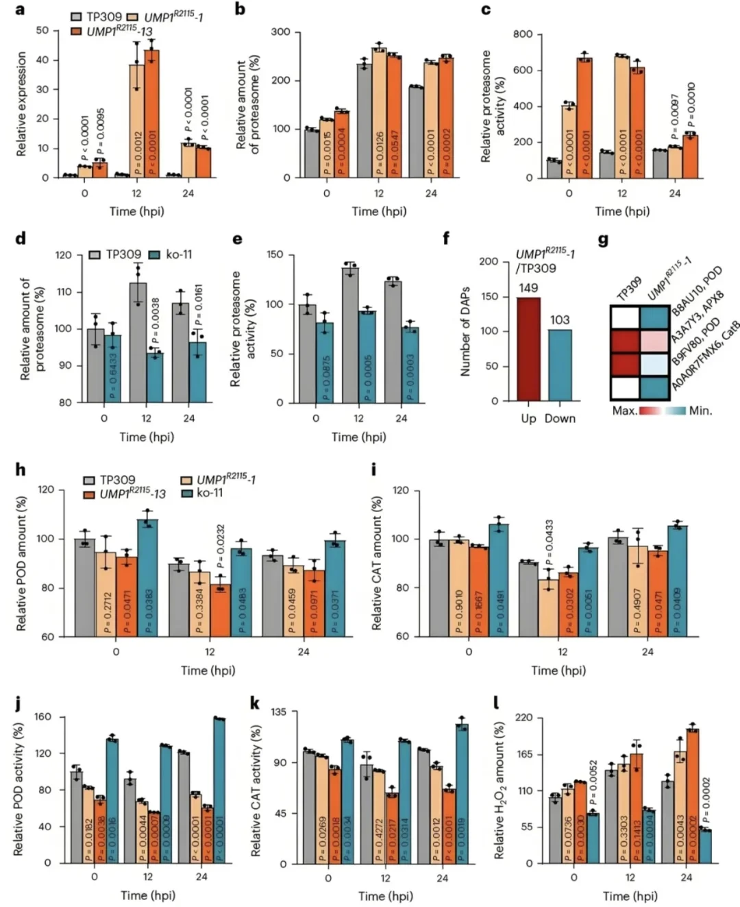 生信分析、医学Meta分析与SCI指导