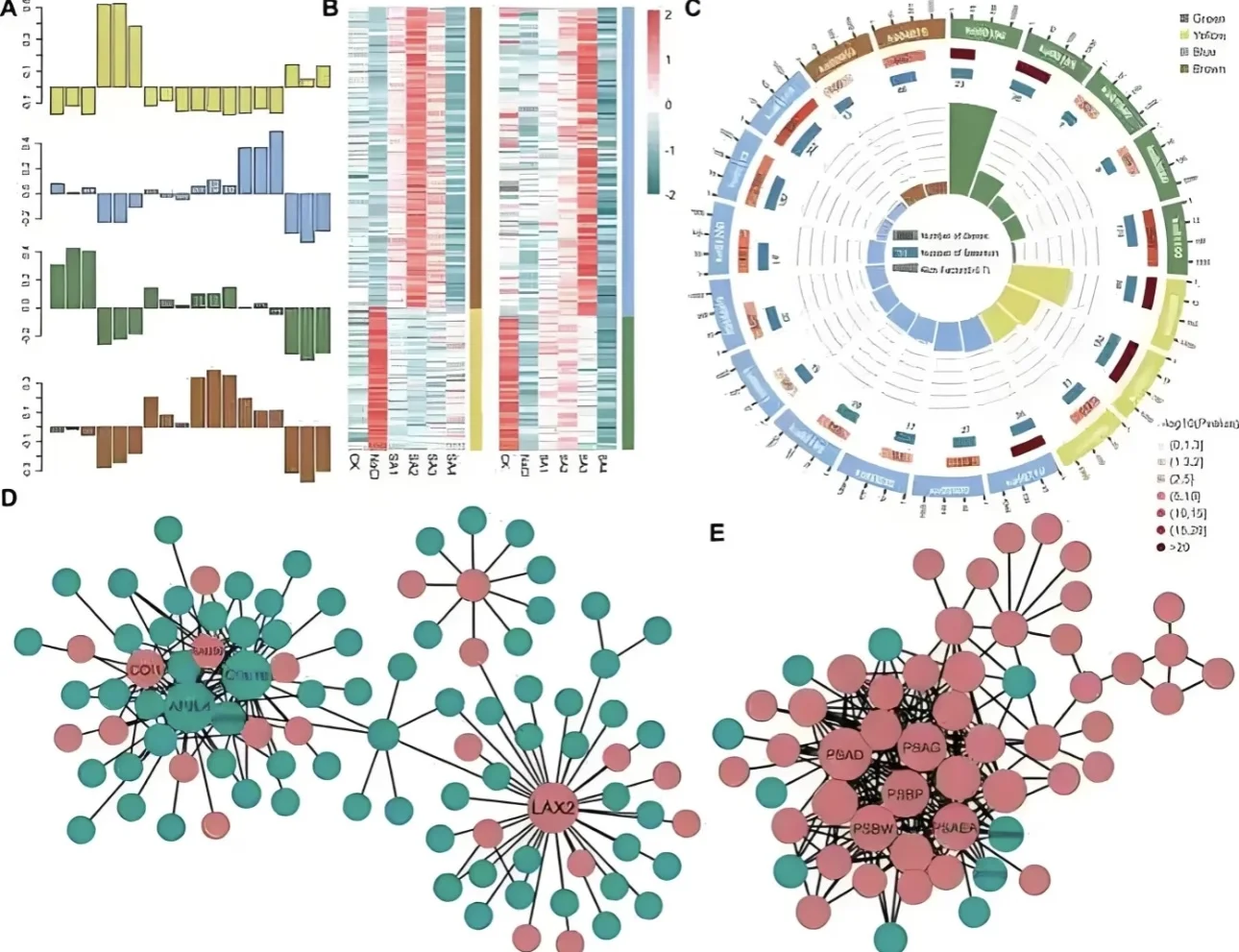 生信分析、医学Meta分析与SCI指导