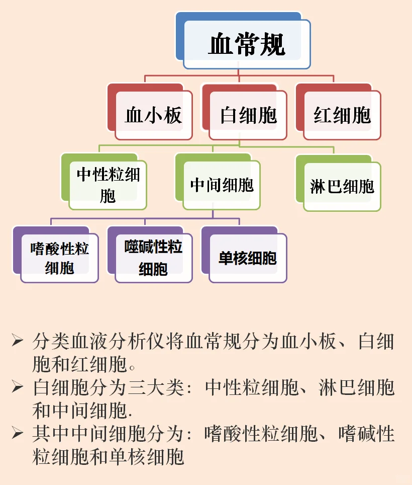 血常规怎么看，一分钟教会你看重点