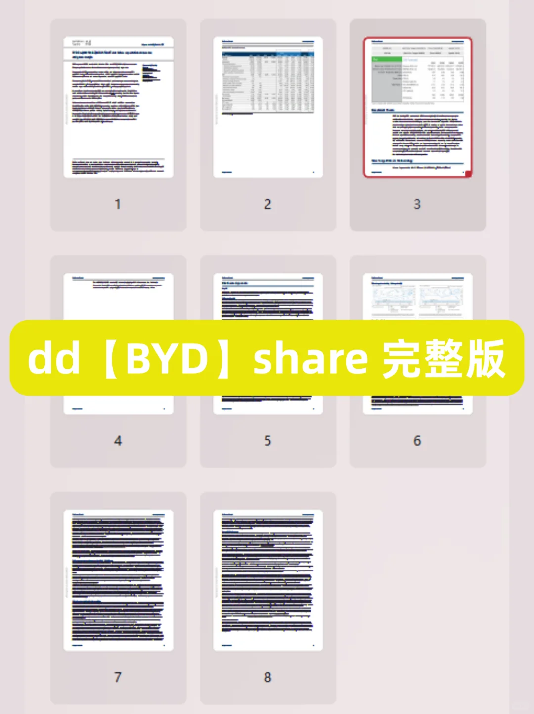 高盛写的【比亚迪】研报也分析得太全面了