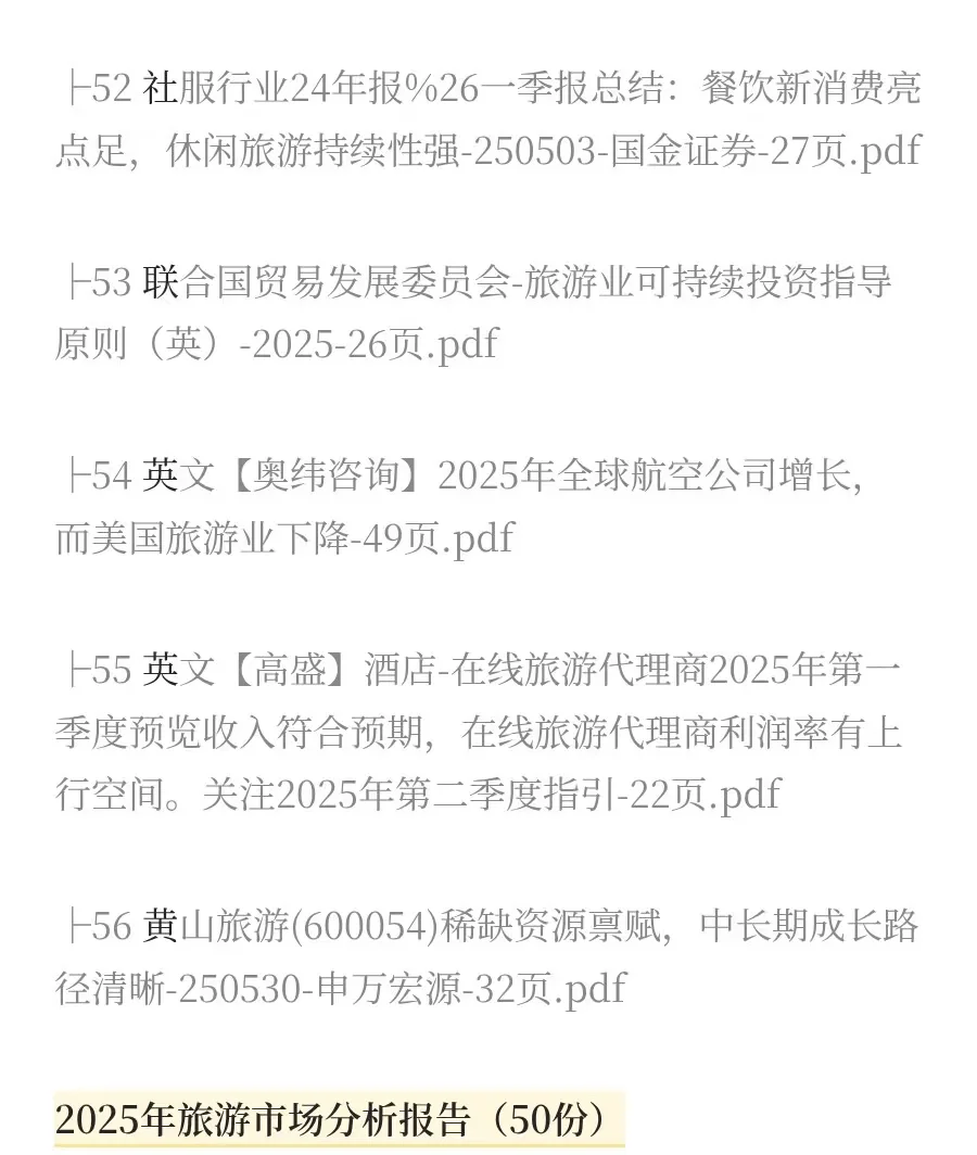 2025年旅游市场分析报告（50份）