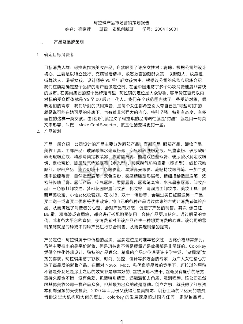 市场营销报告