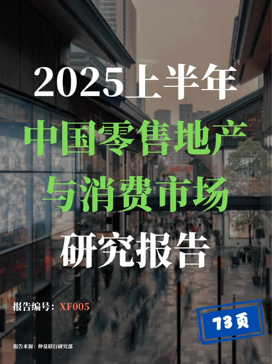2025上半年中国零售地产与消费市场研究报告