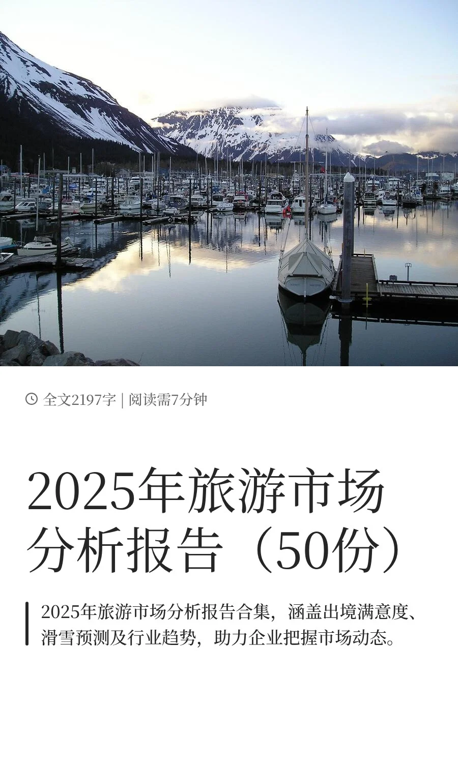 2025年旅游市场分析报告（50份）