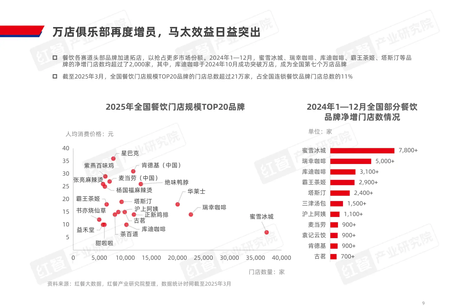 2025中国餐饮品类发展报告