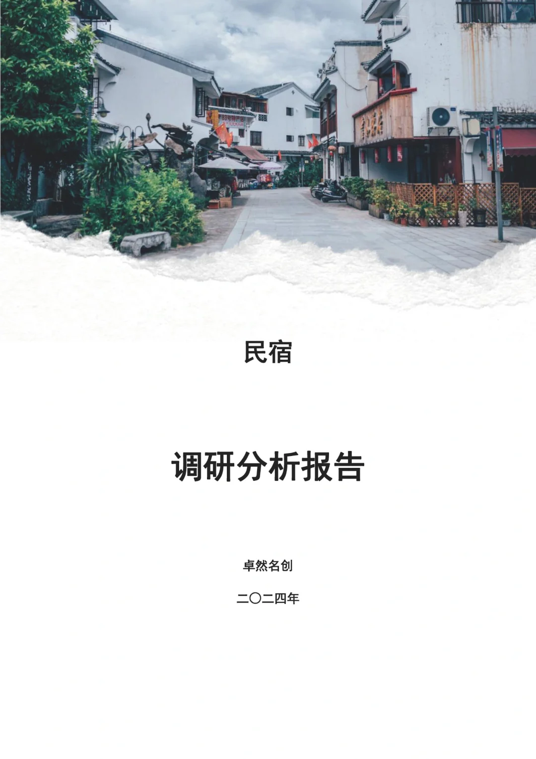 💥专给民宿老板准备的市场分析报告