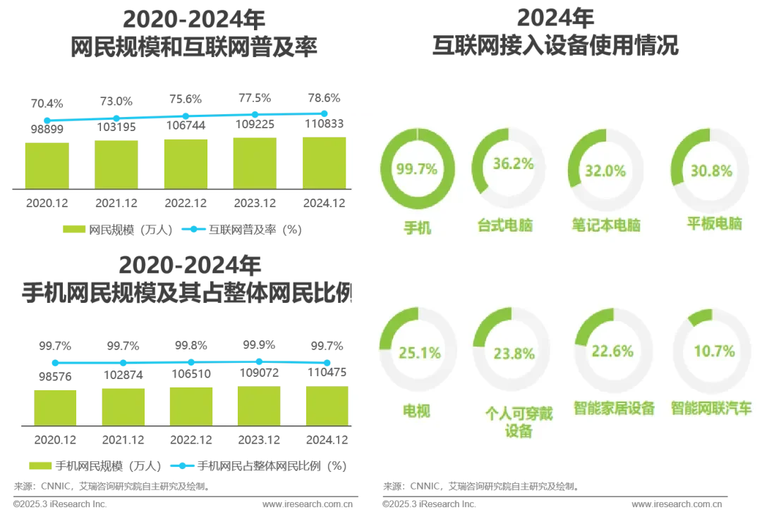 2025年中国互联网营销市场研究报告