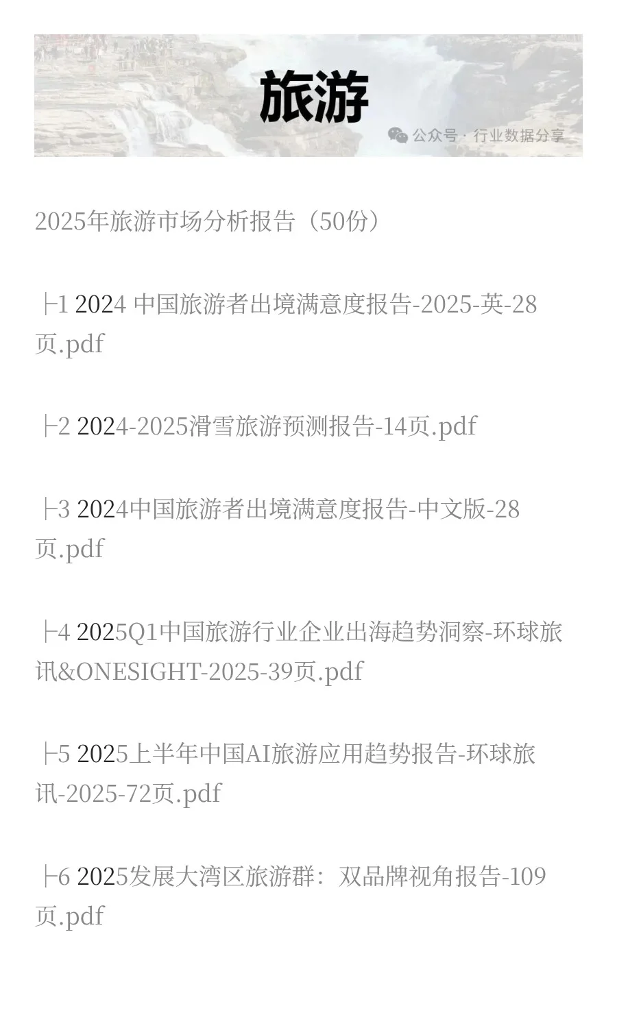 2025年旅游市场分析报告（50份）