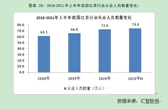 红茶行业市场研究与发展前景预测报告