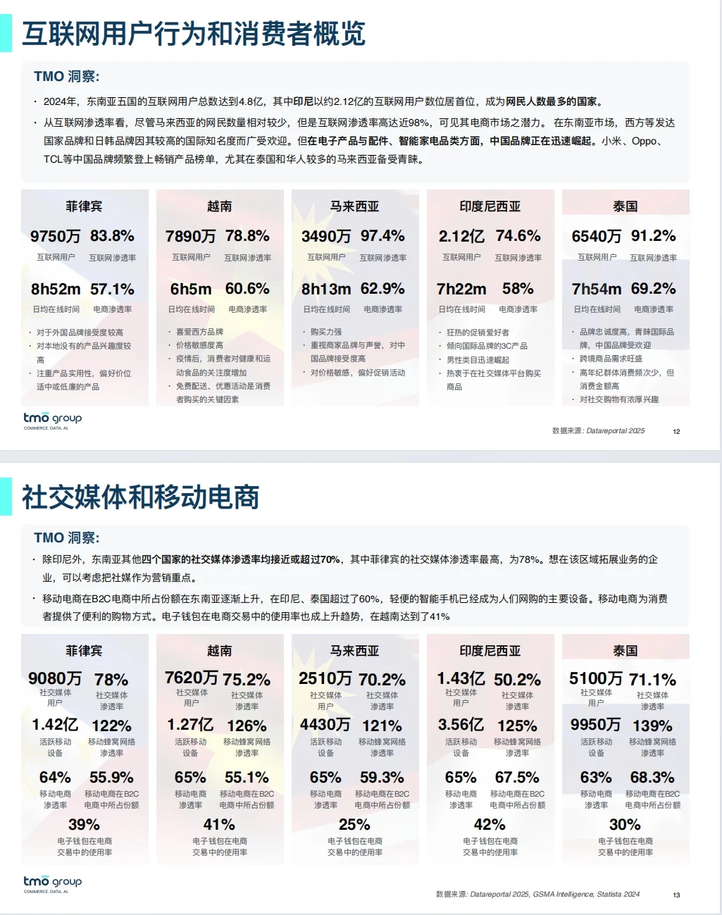 《2025东南亚电子商务市场洞察-探谋》