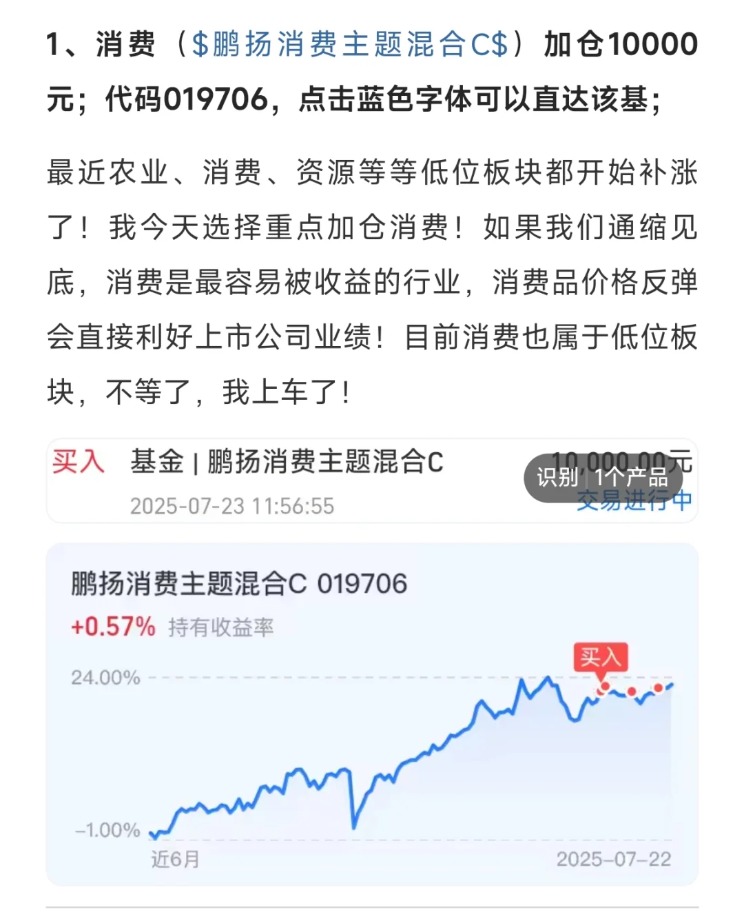 723操作，加仓消费、定投药！