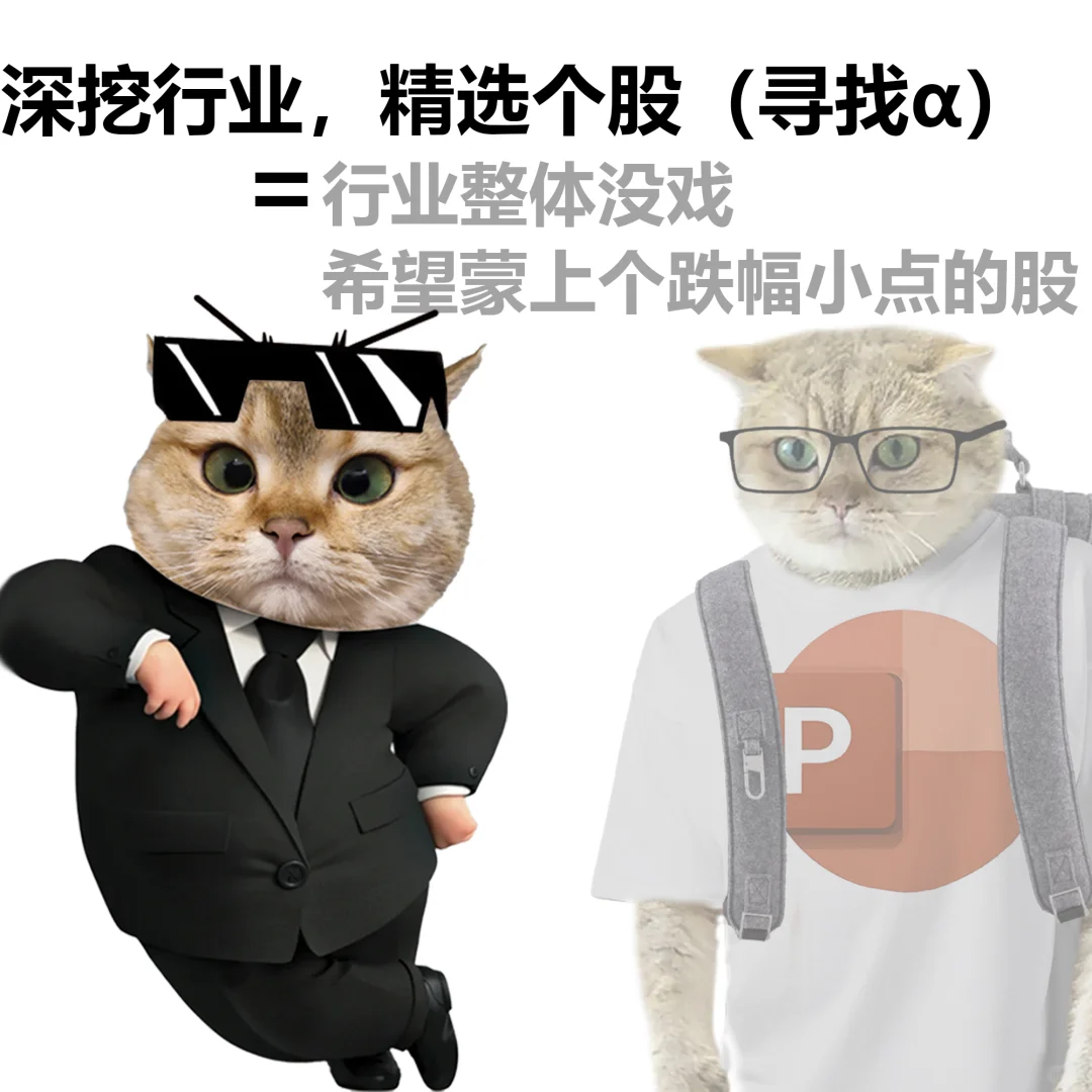 研报中的黑话，常见表述和真实含义。