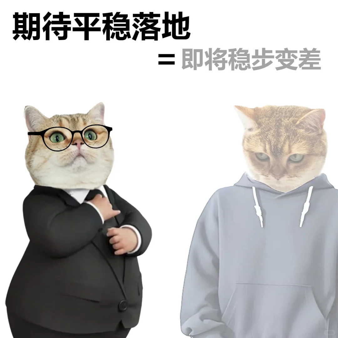 研报中的黑话，常见表述和真实含义。