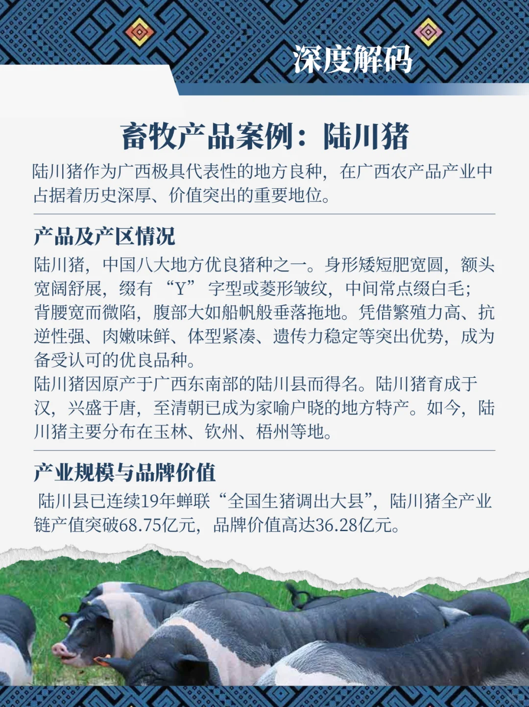 广西特色农产品调研报告