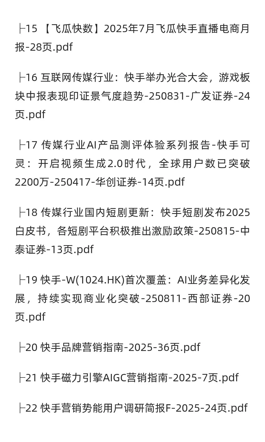 2025年快手市场分析报告（27份）