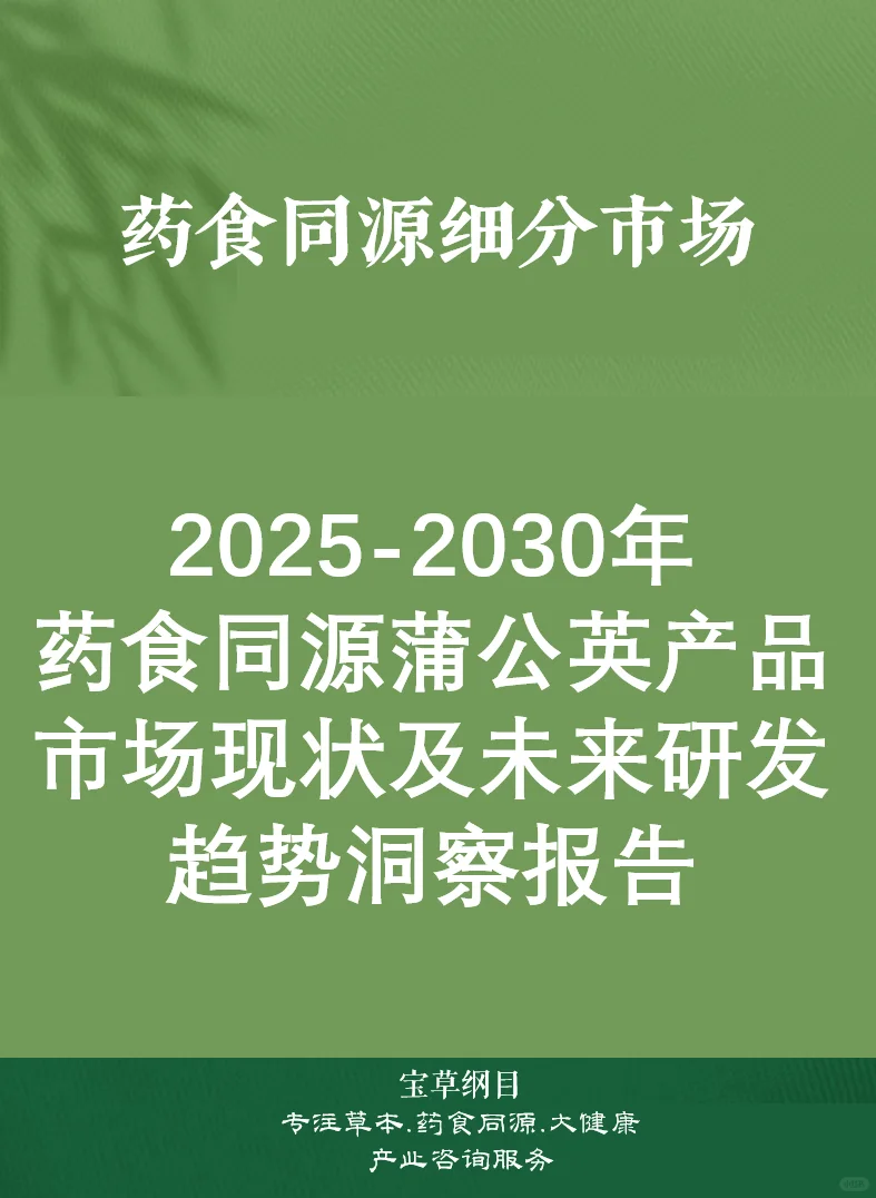 2025年药食同源蒲公英市场现状未来趋势报告