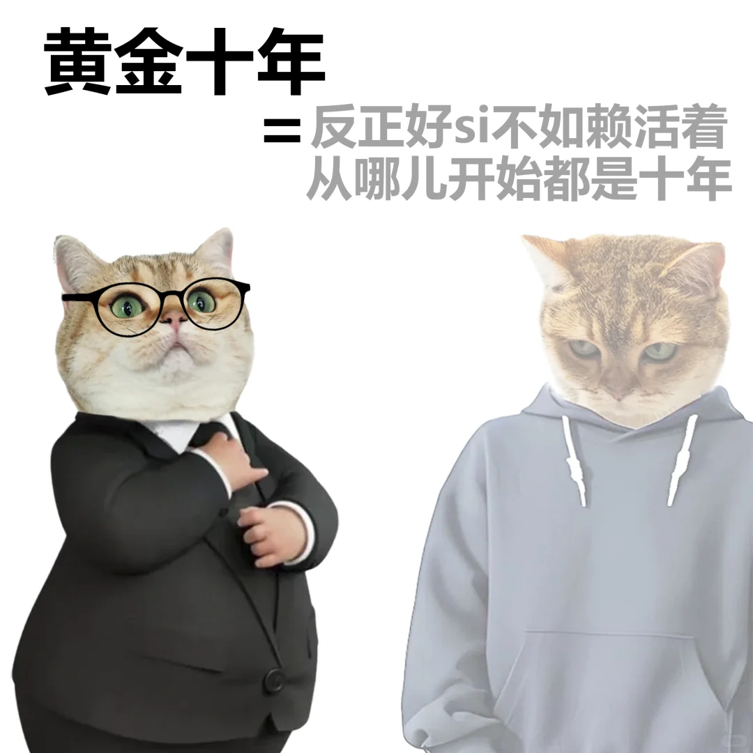 研报中的黑话，常见表述和真实含义。