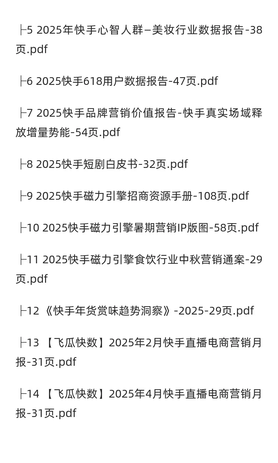 2025年快手市场分析报告（27份）