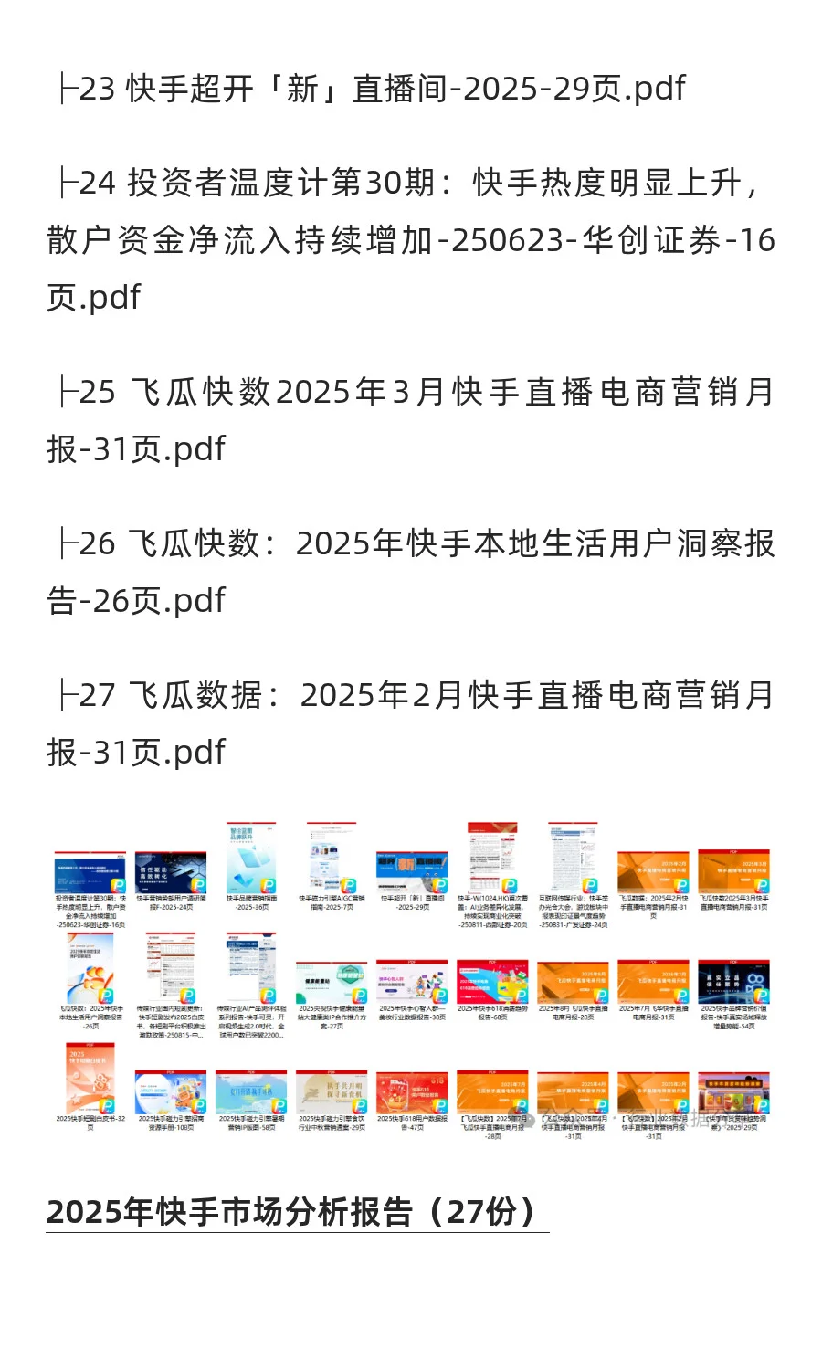 2025年快手市场分析报告（27份）