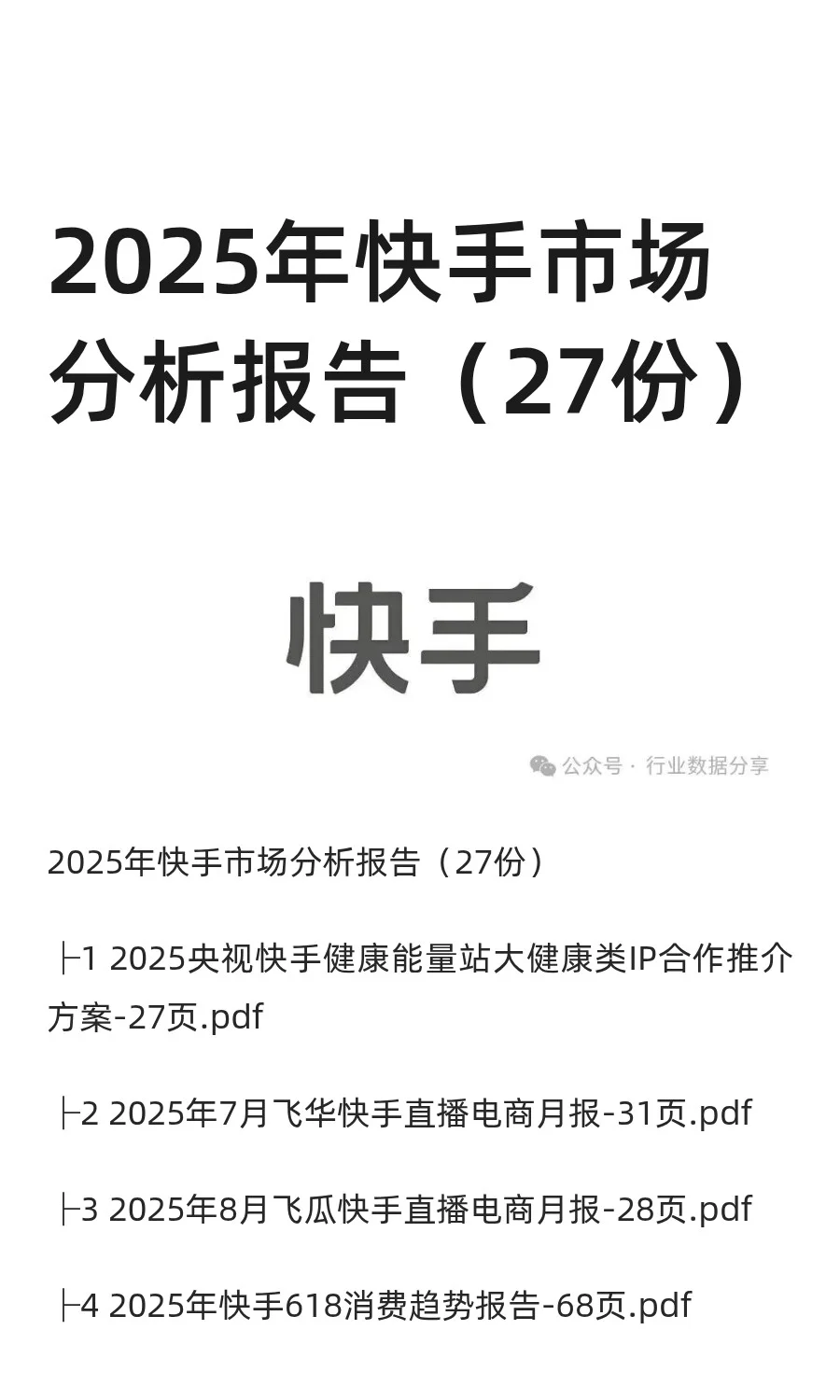 2025年快手市场分析报告（27份）