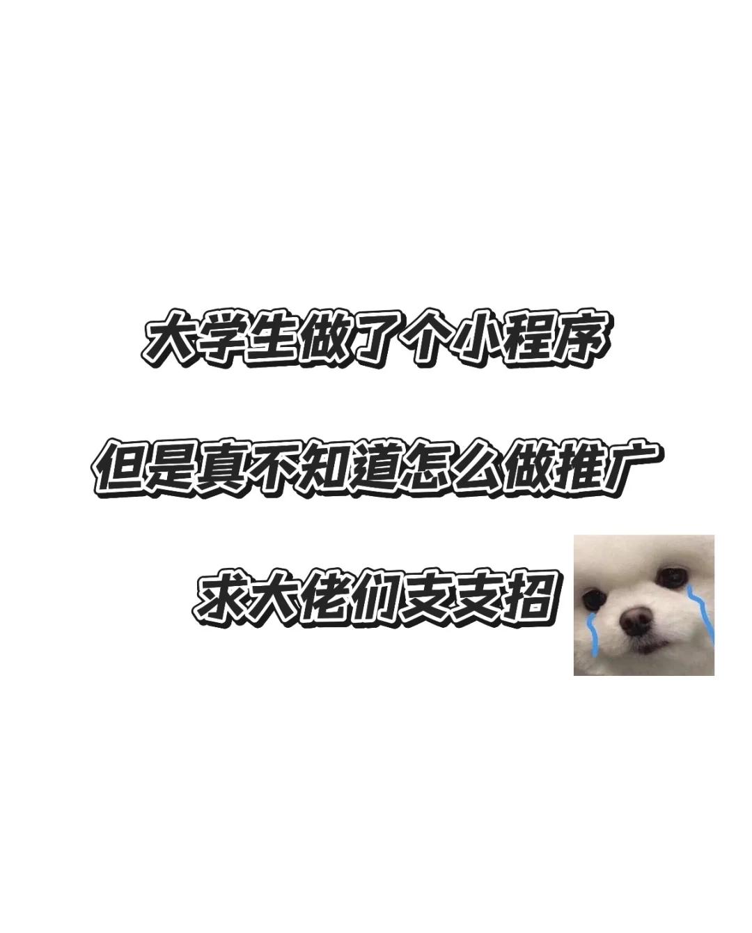 小程序推广太难了😭