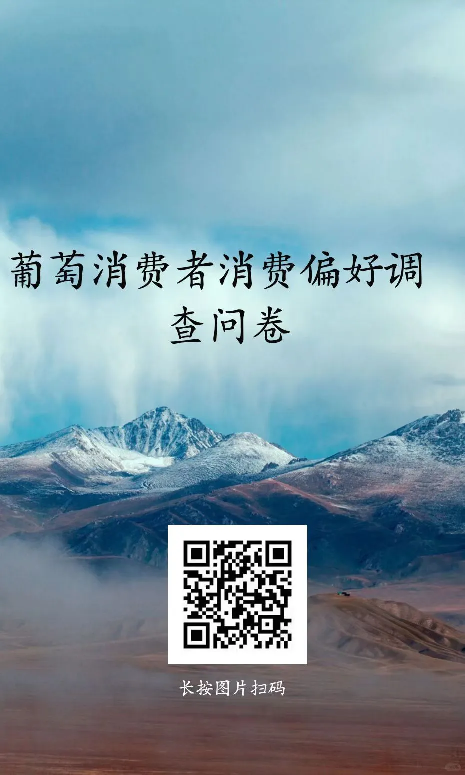 大学生市场调研作业