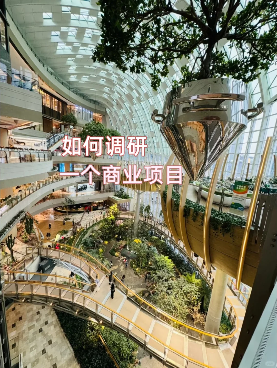 如何调研一个商业项目