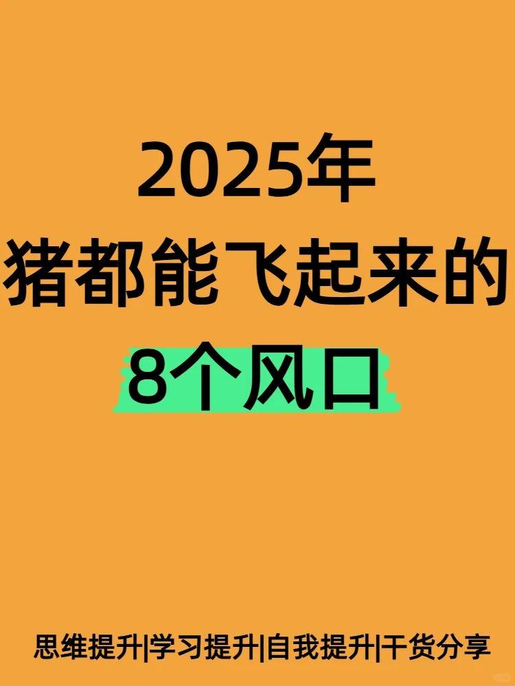 2025年8个奇怪的风口