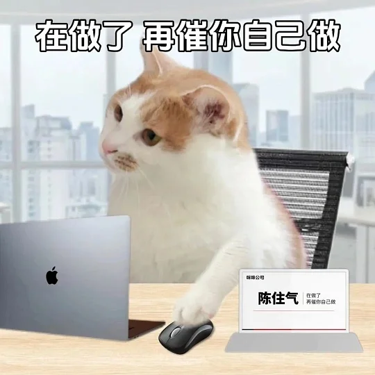 行研周报篇（二）动态类内容撰写