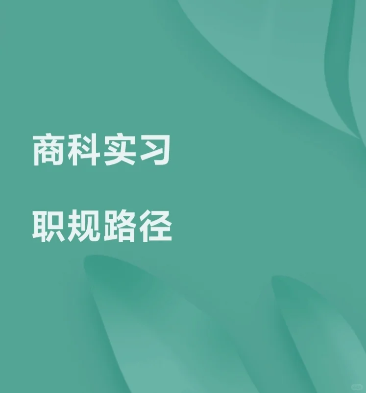 【绝对听劝】商科实习职规路径