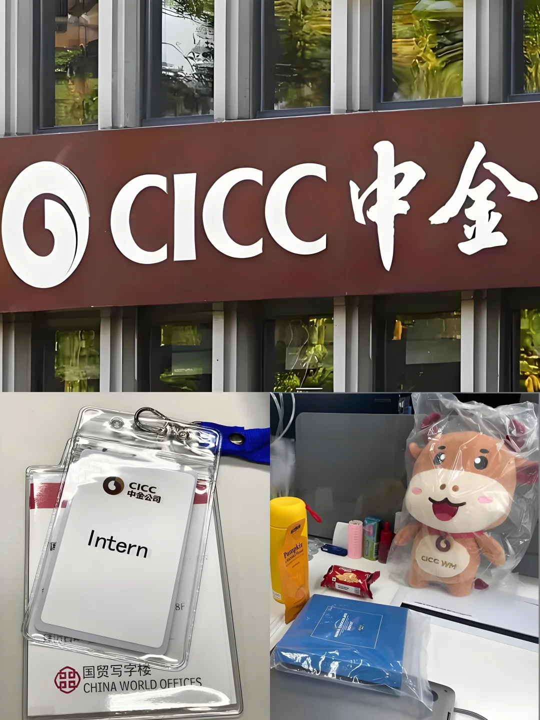 中金还招实习继任，可日常可暑期