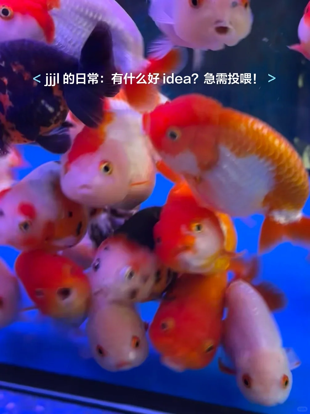 不断找新东西，是二级行研的宿命