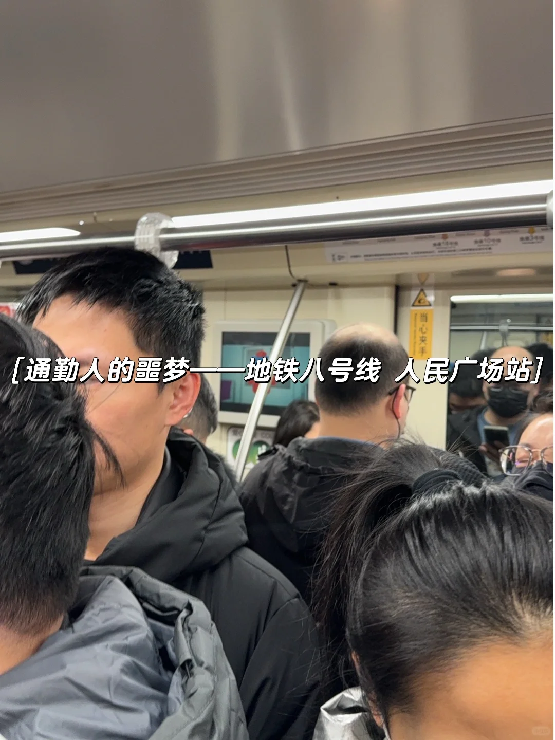 宝宝 你是陆家嘴行研女