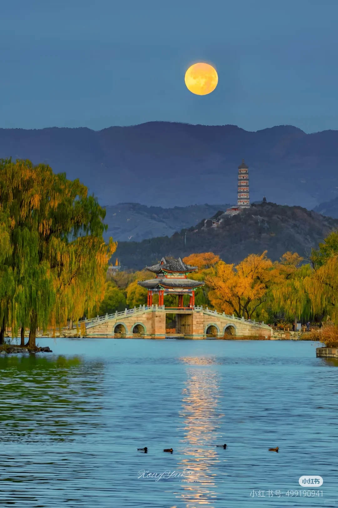 文旅行业 兼职 市场调研员 400/天 日结