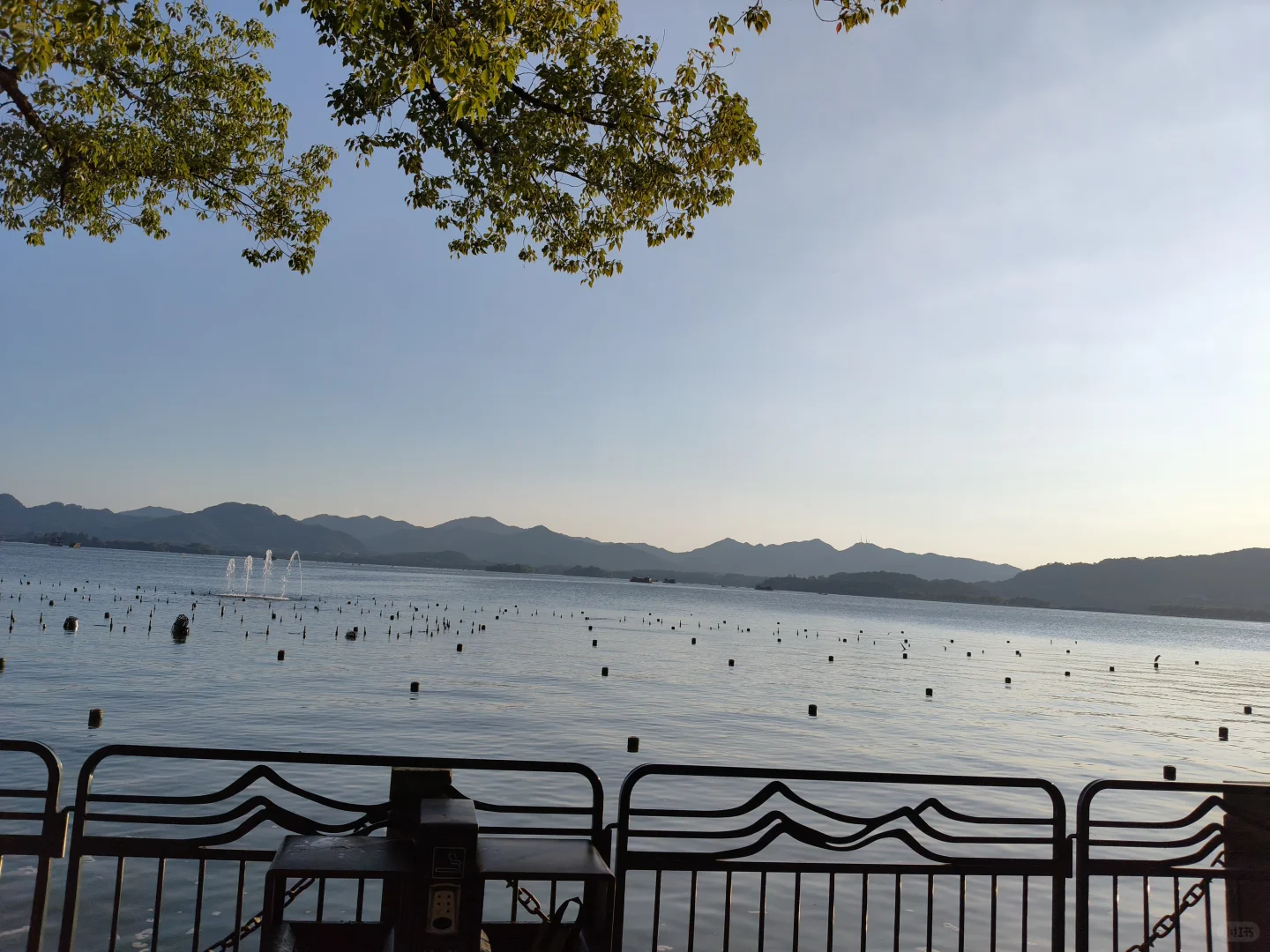 第一次独自市场调研我在想什么
